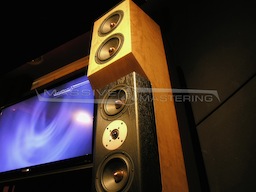 The Tyler Acoustics D1's